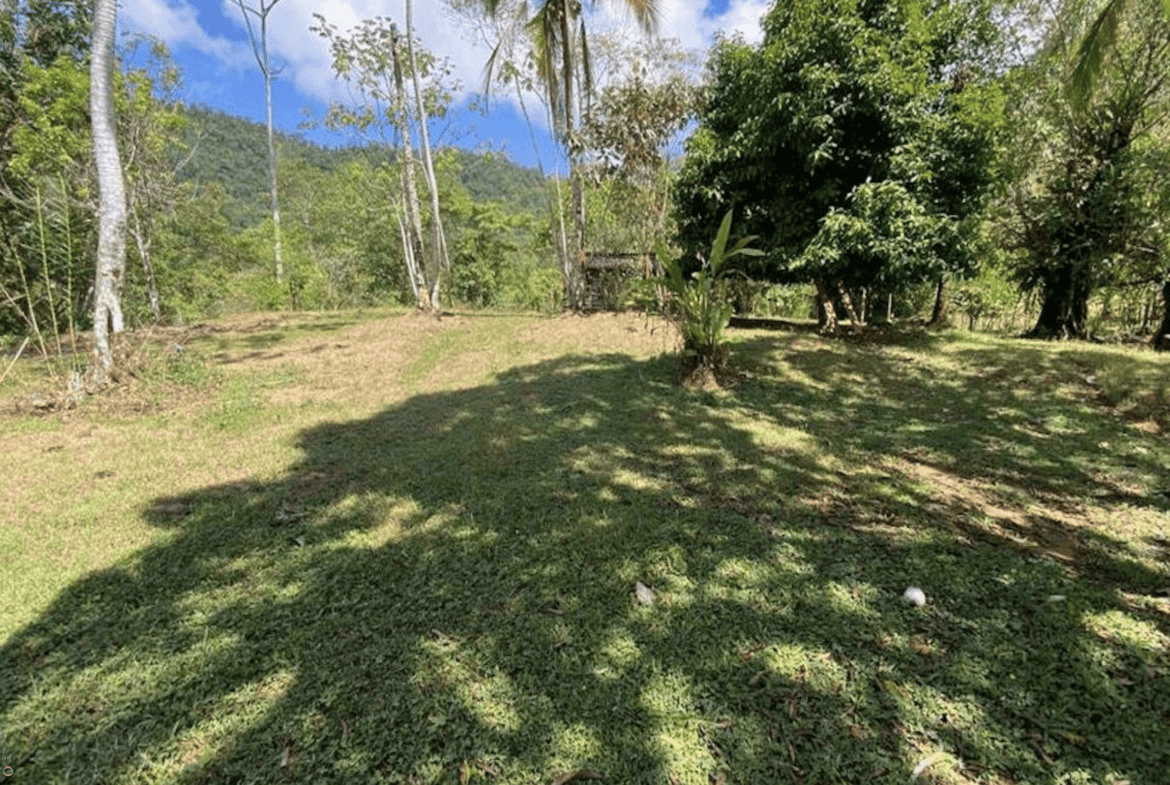 Screenshot 2024-02-06 at 15.29.26