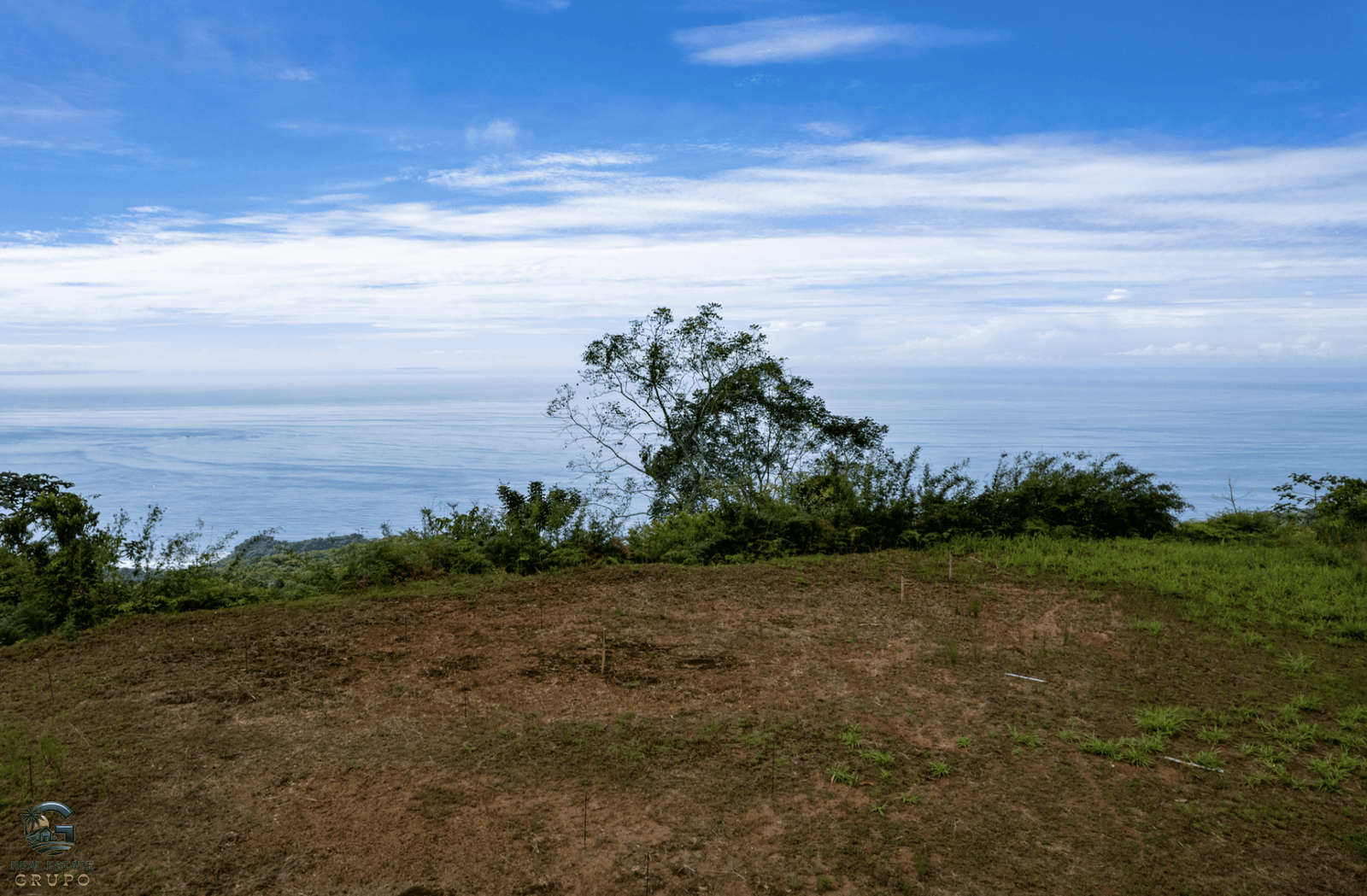 Screenshot 2024-02-06 at 15.43.22