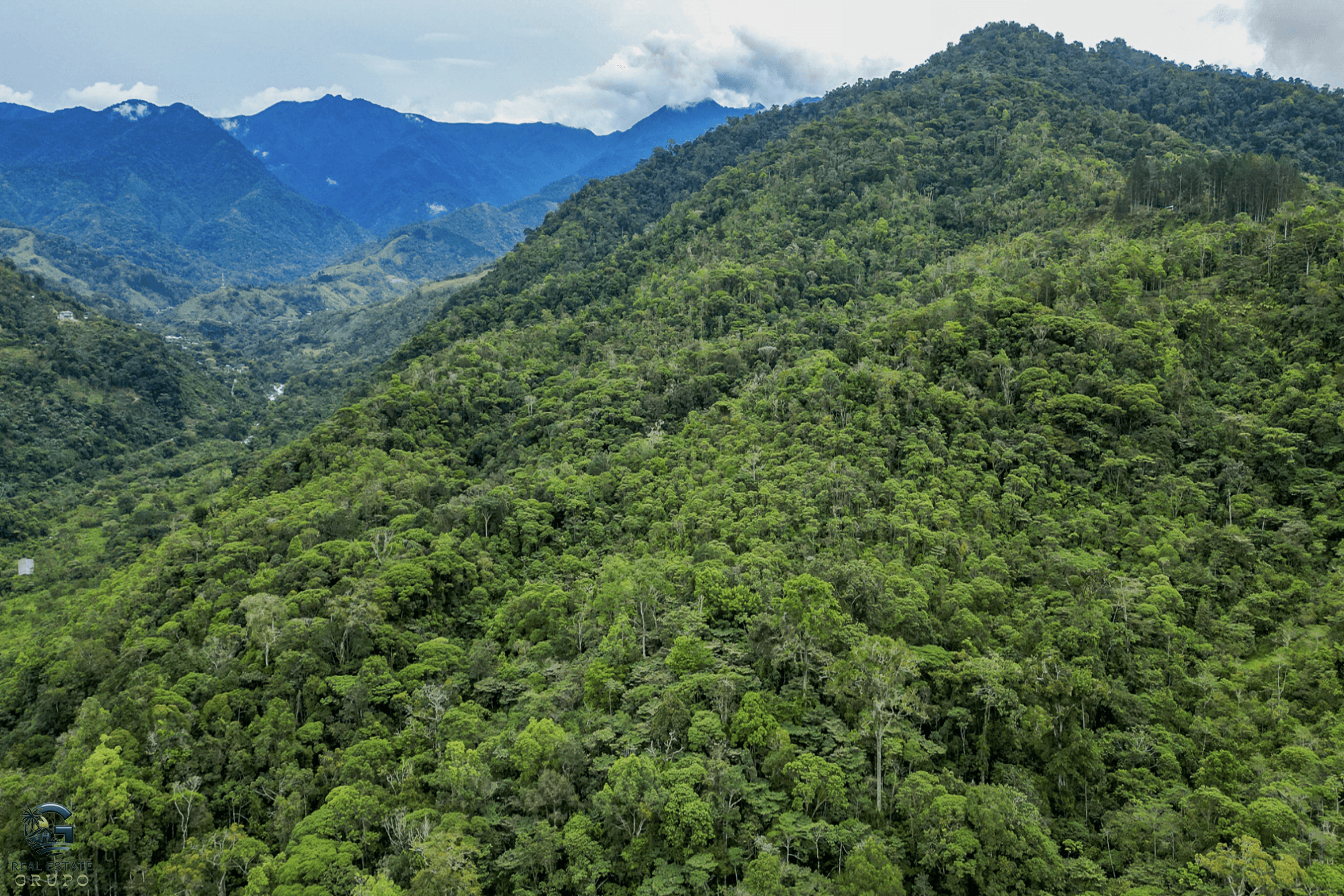 Screenshot 2024-02-06 at 15.55.03