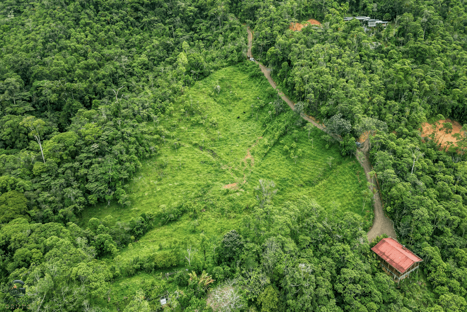 Screenshot 2024-02-06 at 15.55.09