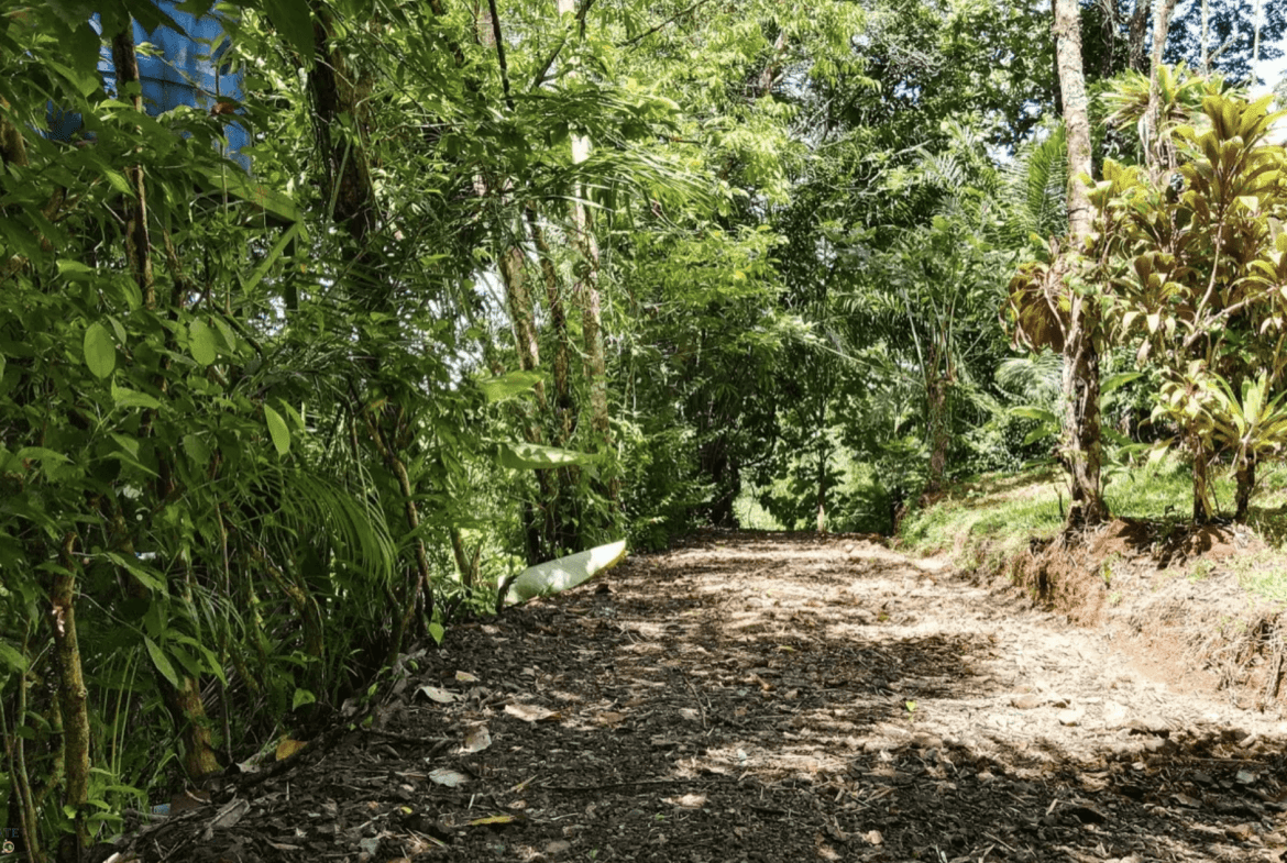 Screenshot 2024-02-06 at 16.35.06