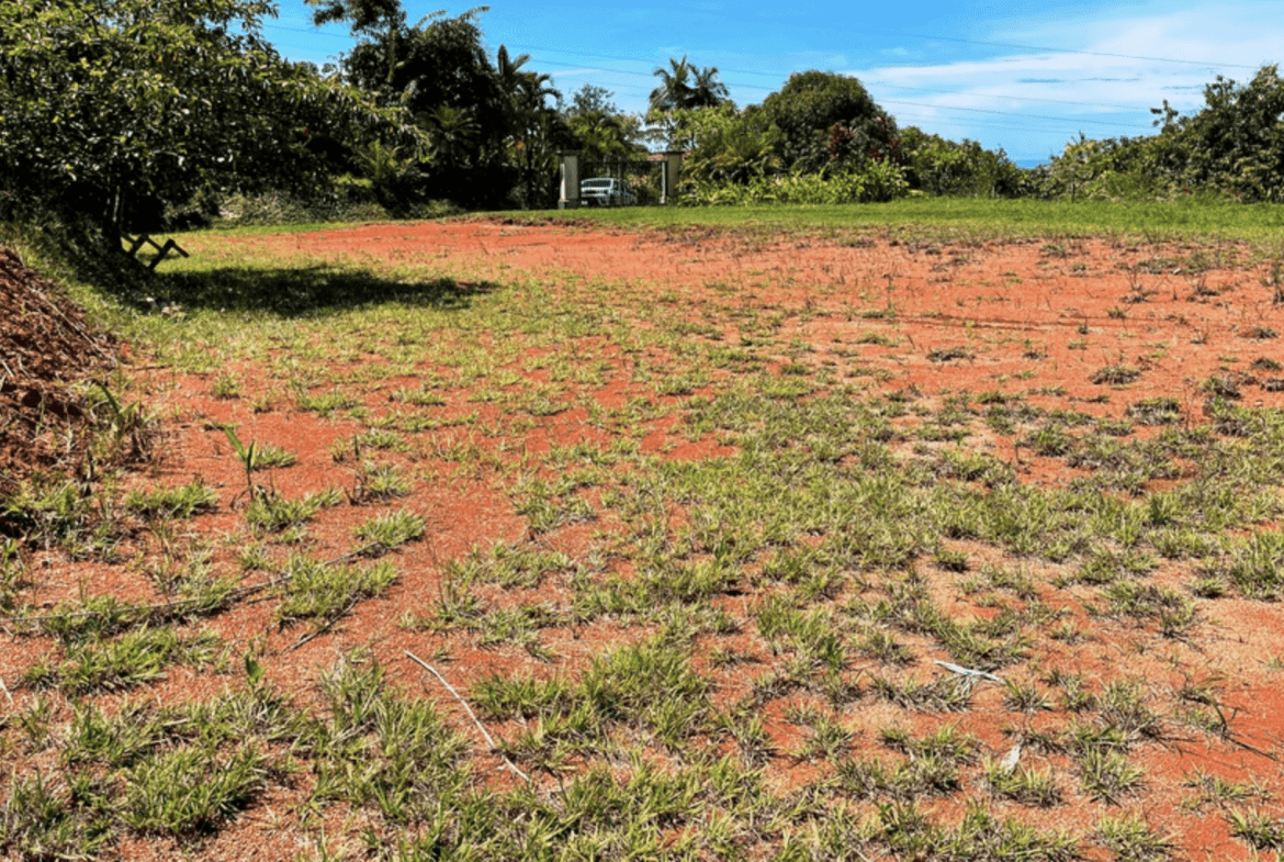 Screenshot 2024-02-07 at 08.48.51