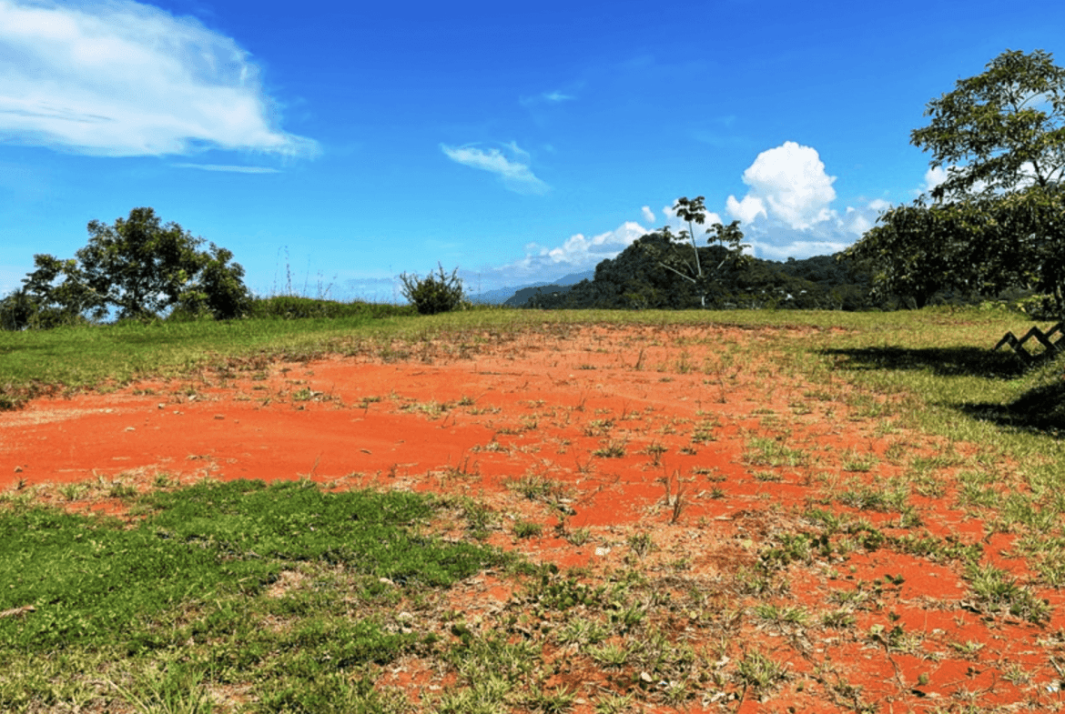 Screenshot 2024-02-07 at 08.49.06