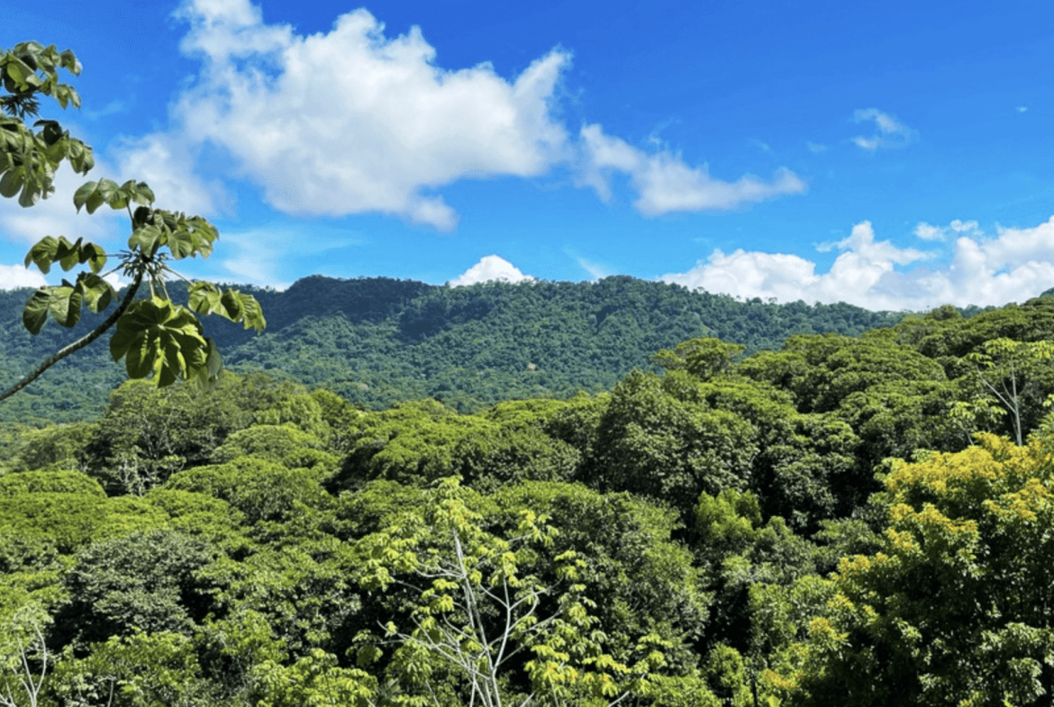 Screenshot 2024-02-07 at 08.49.13