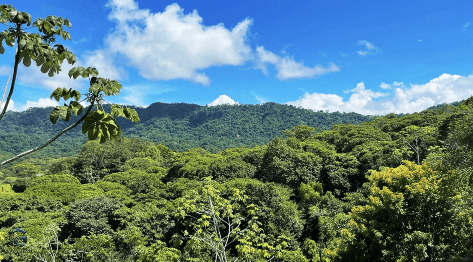 Screenshot 2024-02-07 at 08.49.13