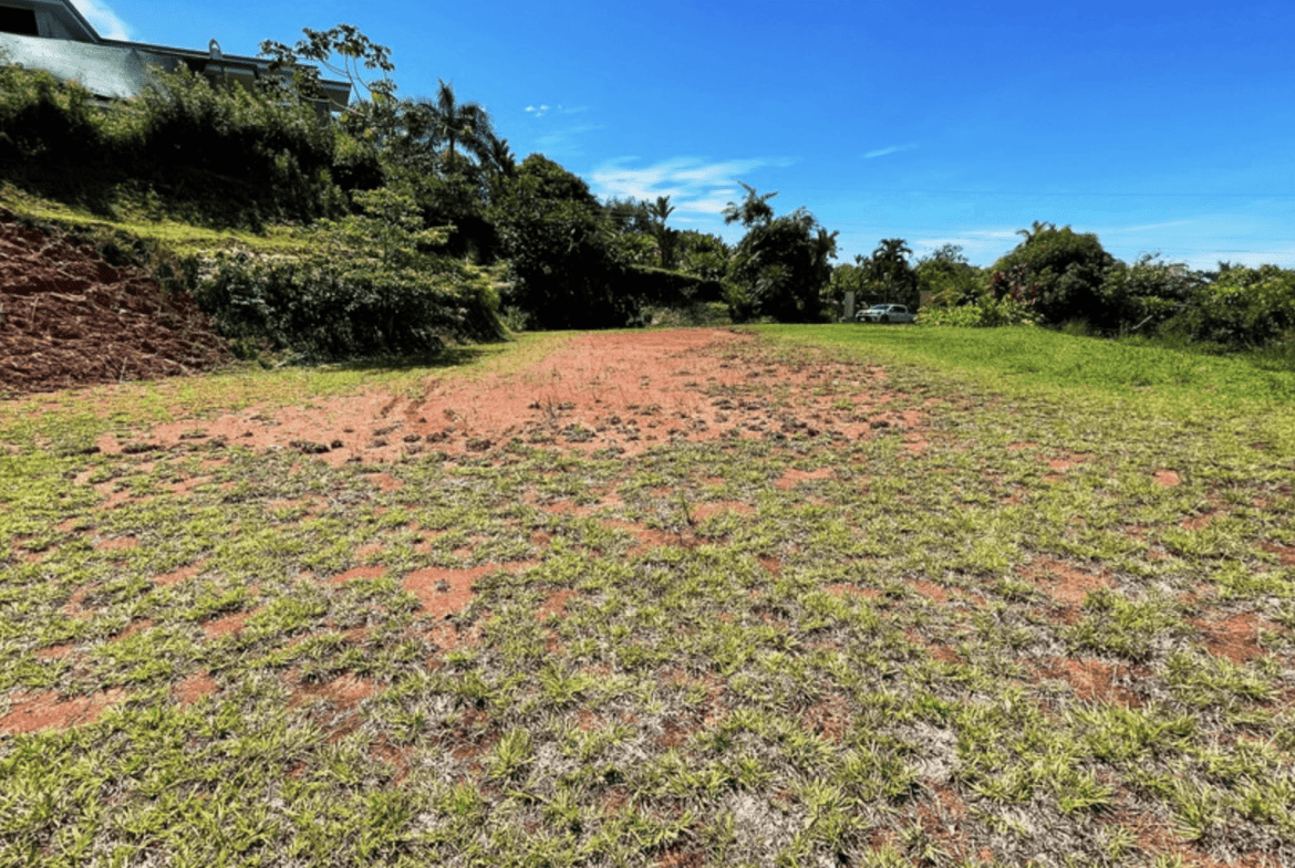 Screenshot 2024-02-07 at 08.49.19