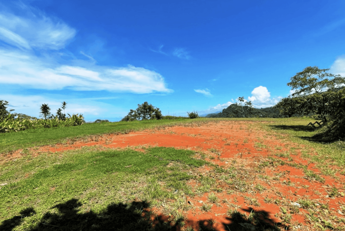 Screenshot 2024-02-07 at 08.49.27