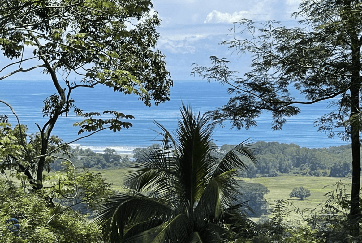 Screenshot 2024-02-07 at 09.29.52