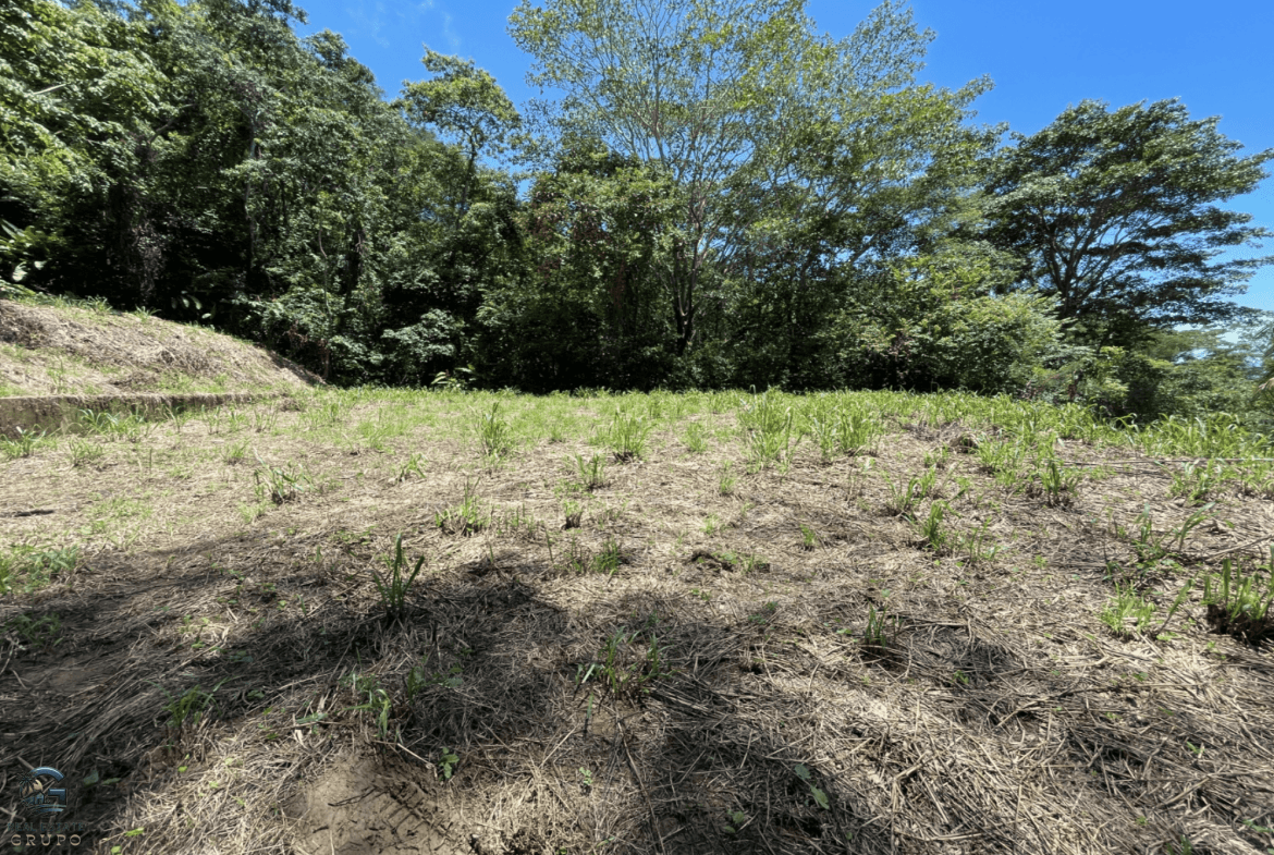 Screenshot 2024-02-07 at 09.29.58