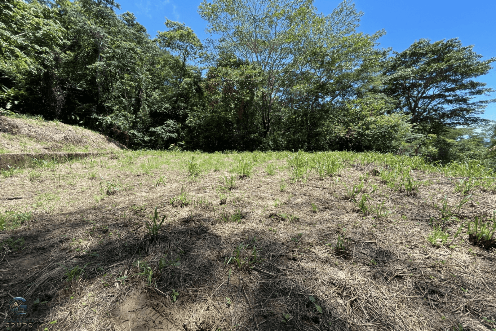 Screenshot 2024-02-07 at 09.29.58