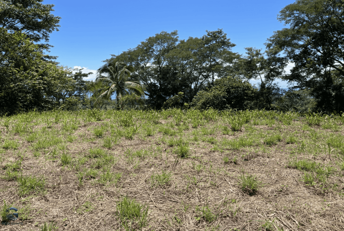 Screenshot 2024-02-07 at 09.30.05