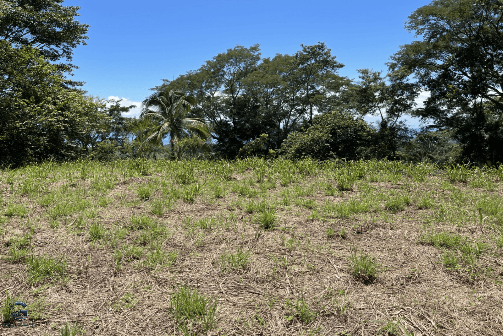 Screenshot 2024-02-07 at 09.30.05