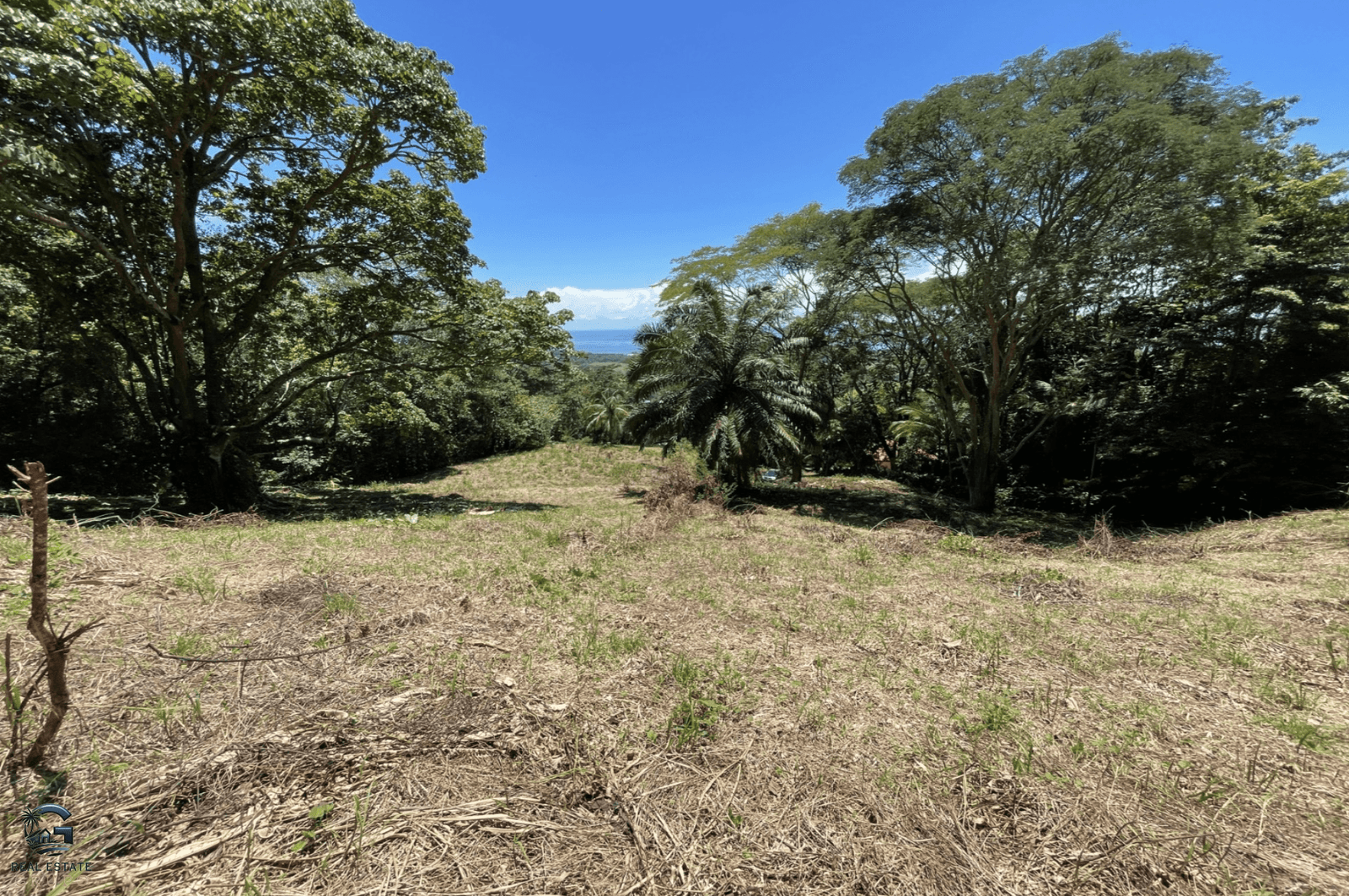 Screenshot 2024-02-07 at 09.30.20