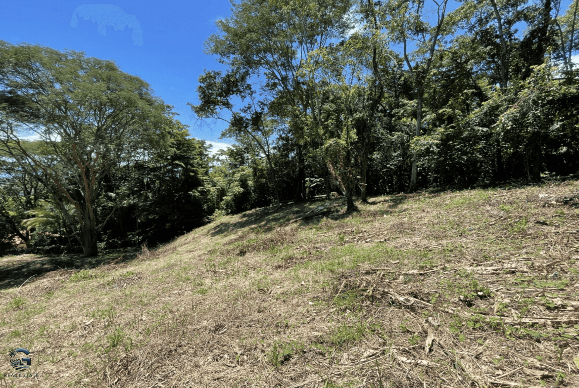 Screenshot 2024-02-07 at 09.30.27