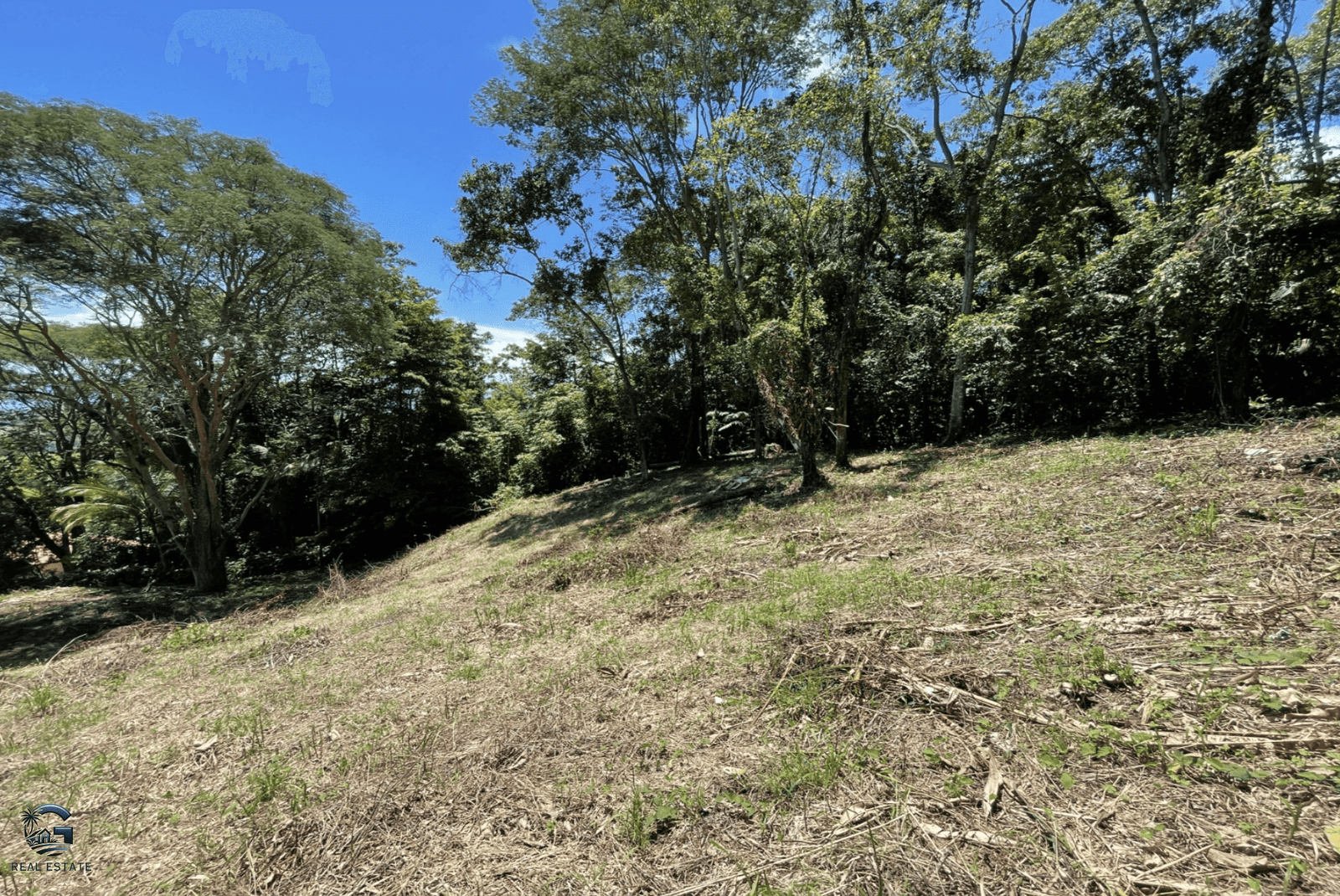 Screenshot 2024-02-07 at 09.30.27