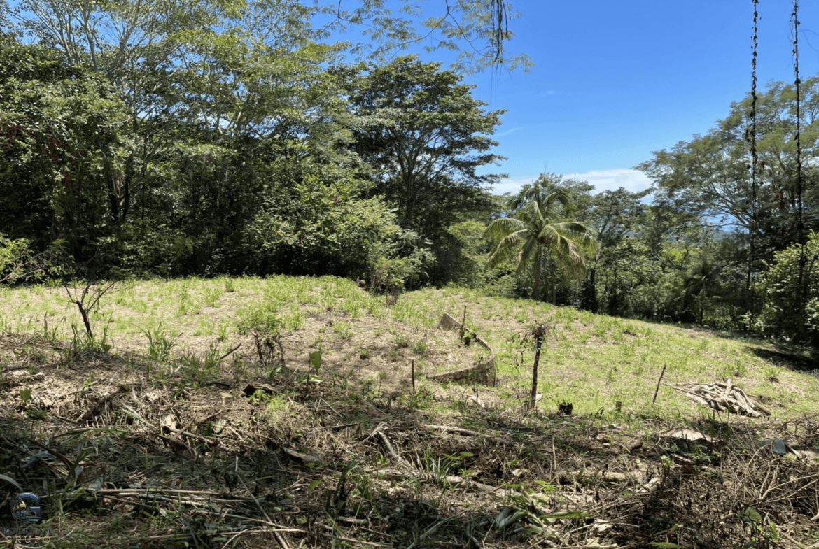 Screenshot 2024-02-07 at 09.30.50