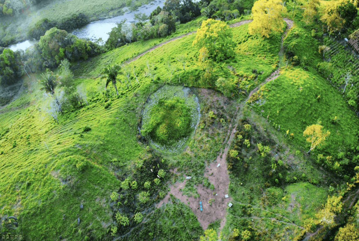 Screenshot 2024-02-07 at 09.42.57