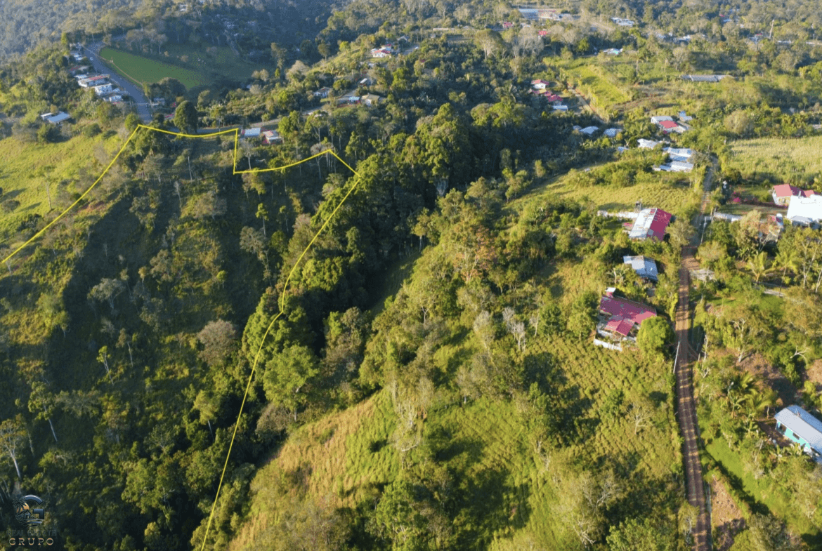 Screenshot 2024-02-07 at 09.43.25