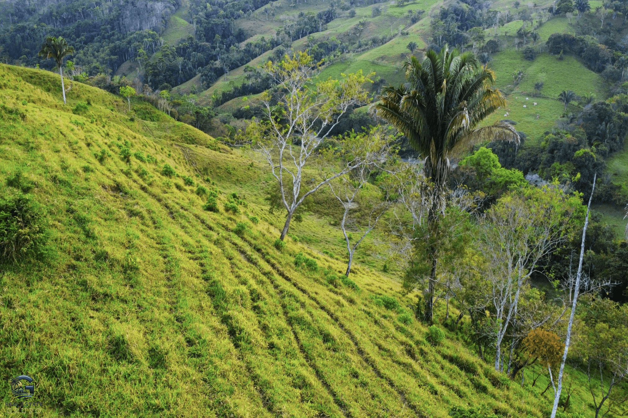 Screenshot 2024-02-07 at 09.43.32