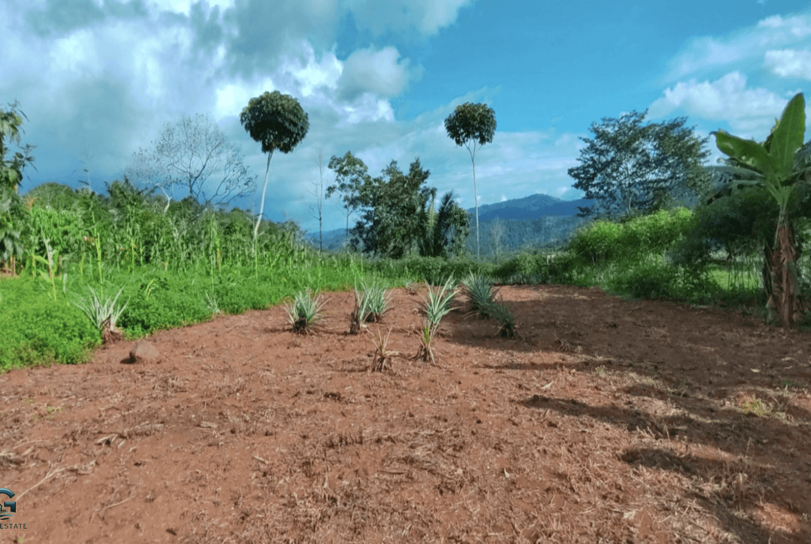 Screenshot 2024-02-07 at 09.43.45