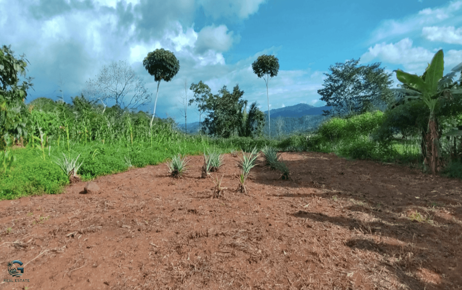 Screenshot 2024-02-07 at 09.43.45