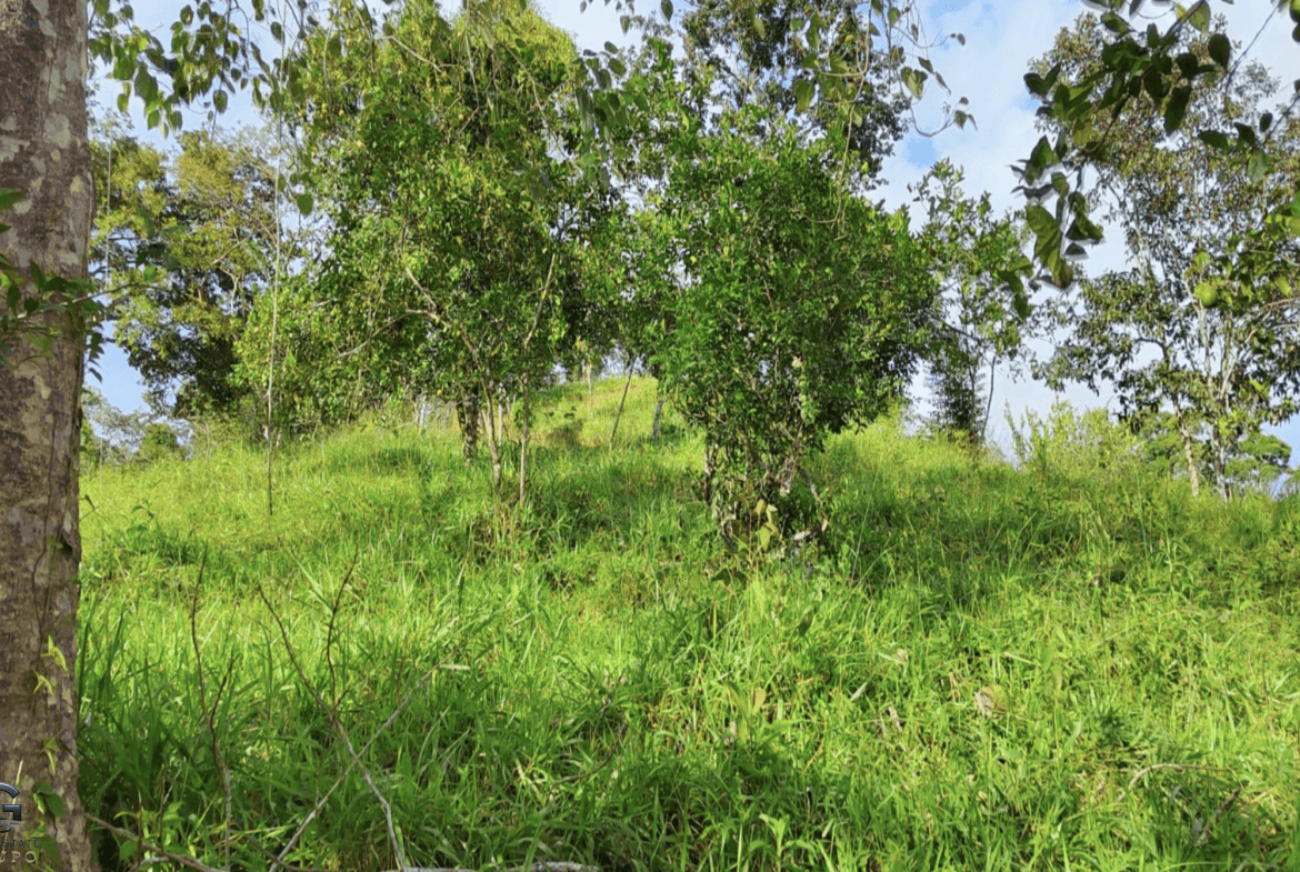 Screenshot 2024-02-07 at 09.44.04