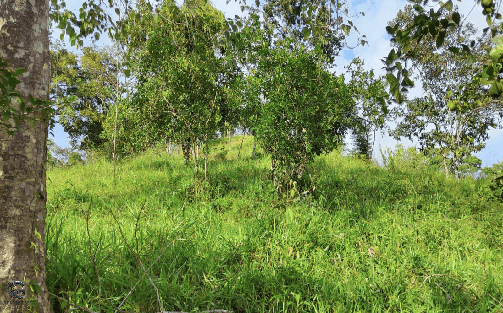 Screenshot 2024-02-07 at 09.44.04