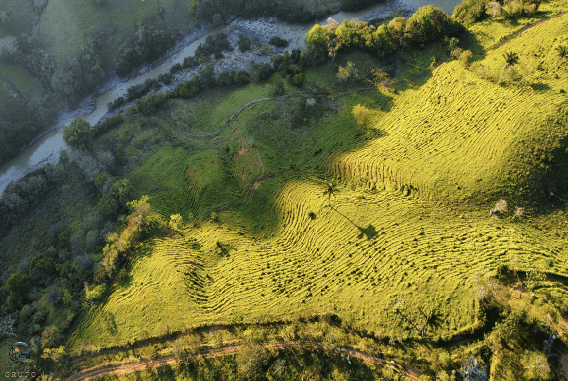 Screenshot 2024-02-07 at 09.44.39