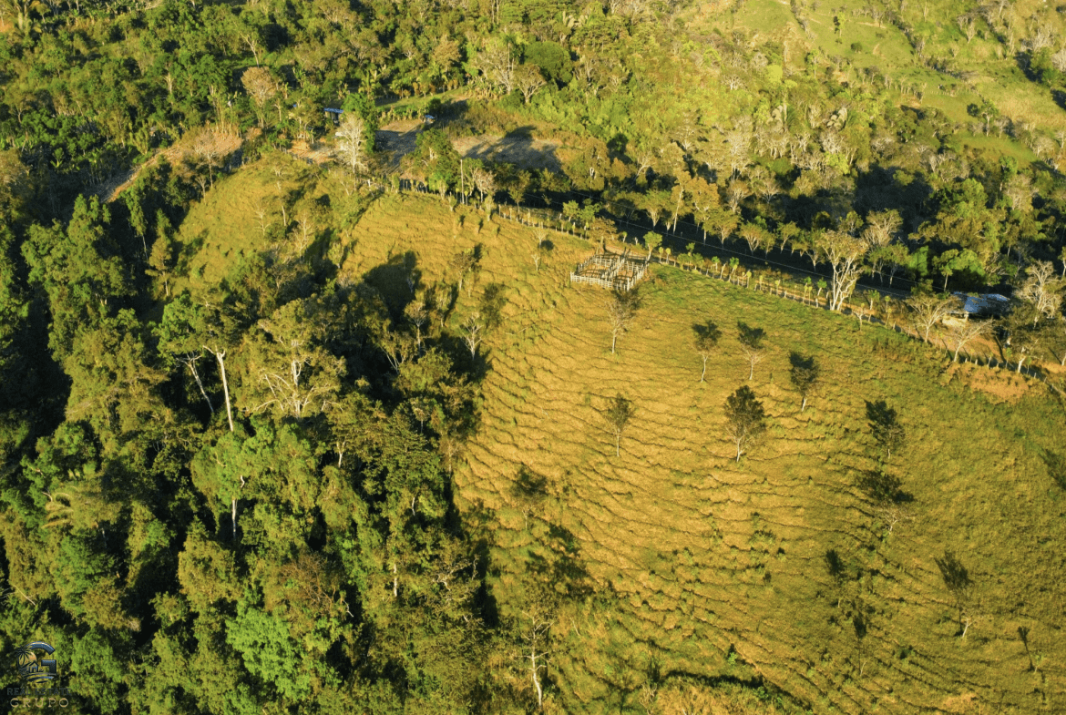 Screenshot 2024-02-07 at 09.44.58