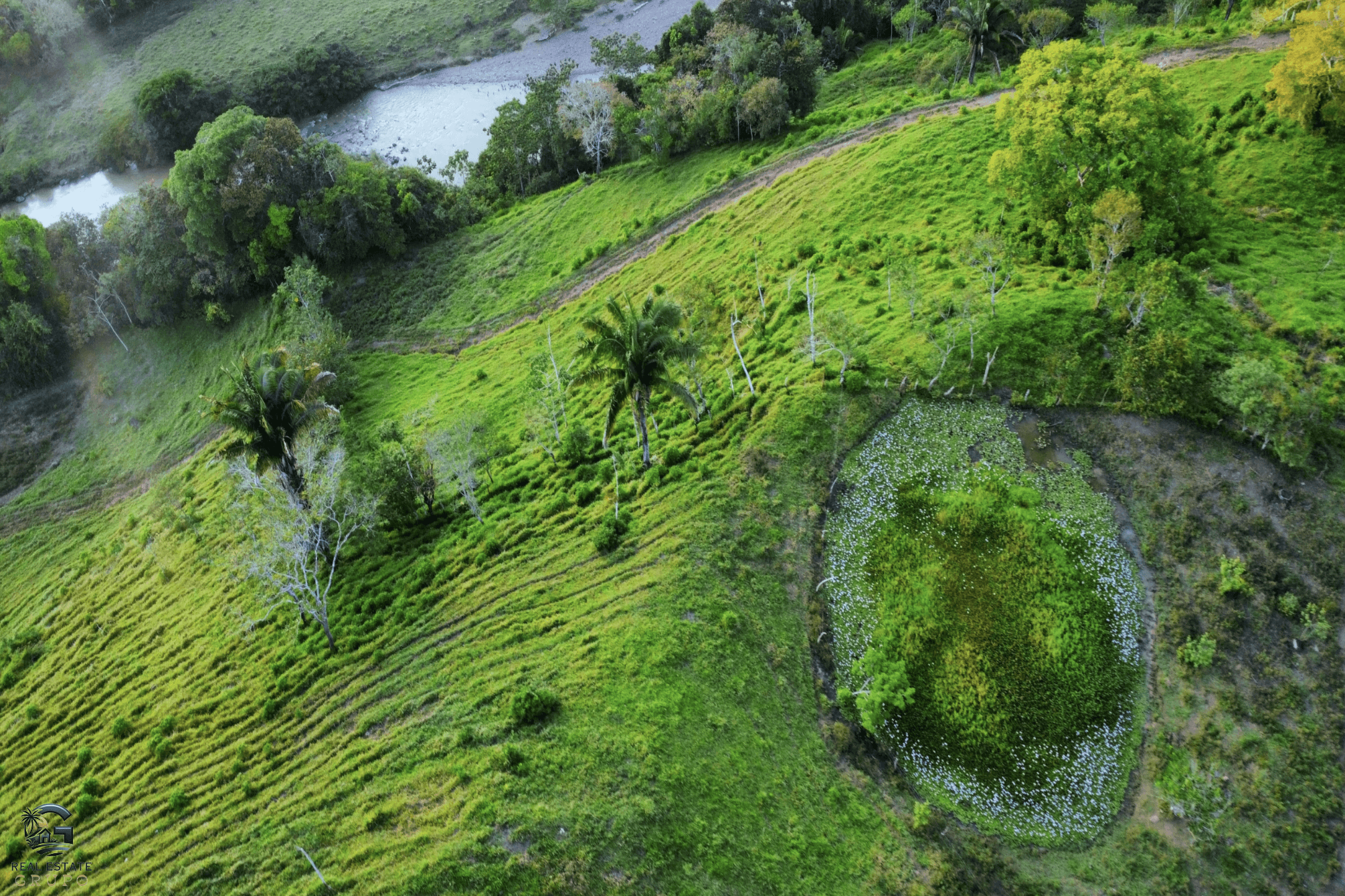 Screenshot 2024-02-07 at 09.45.06