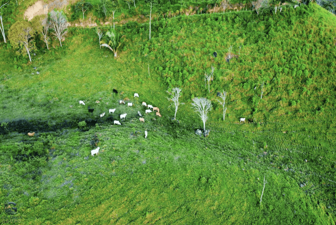 Screenshot 2024-02-07 at 09.45.15