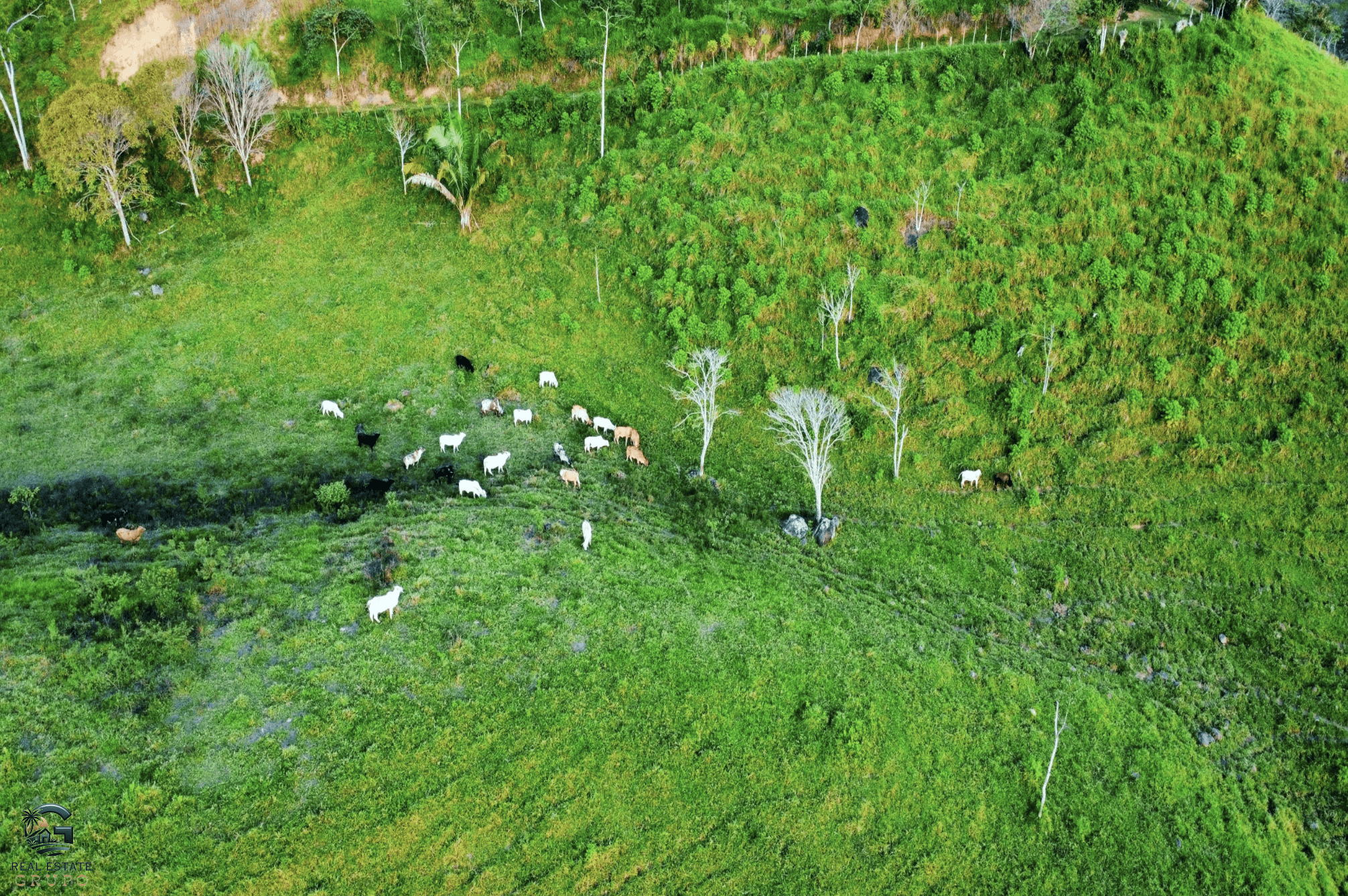 Screenshot 2024-02-07 at 09.45.15