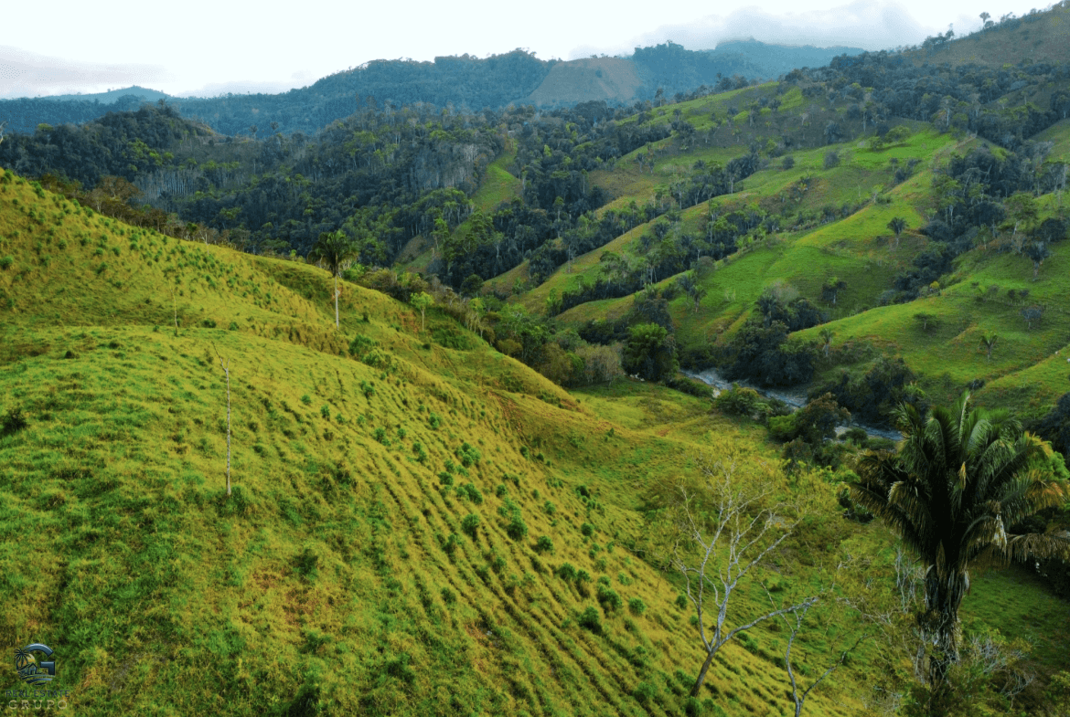 Screenshot 2024-02-07 at 09.45.28