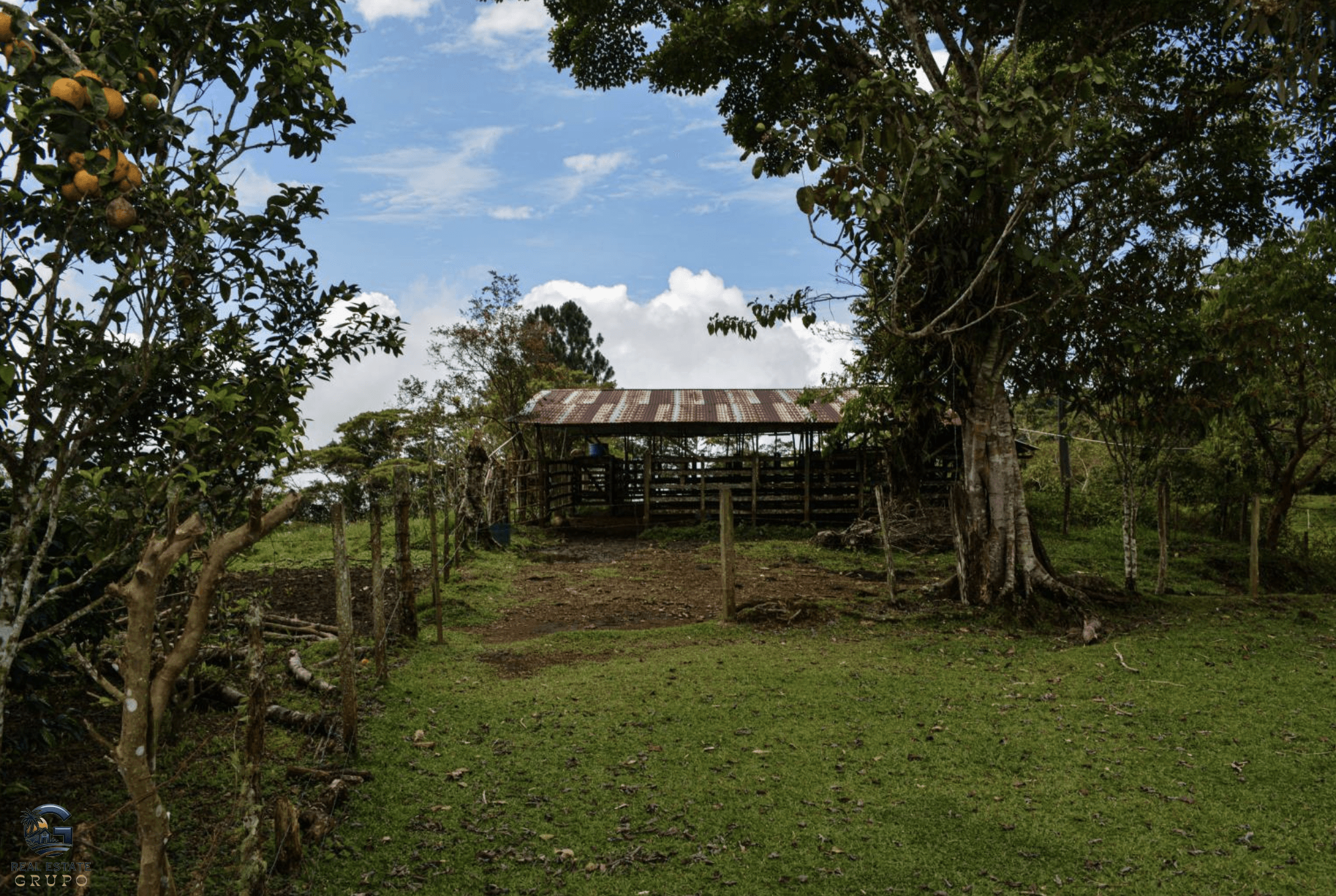 Screenshot 2024-02-07 at 10.10.43