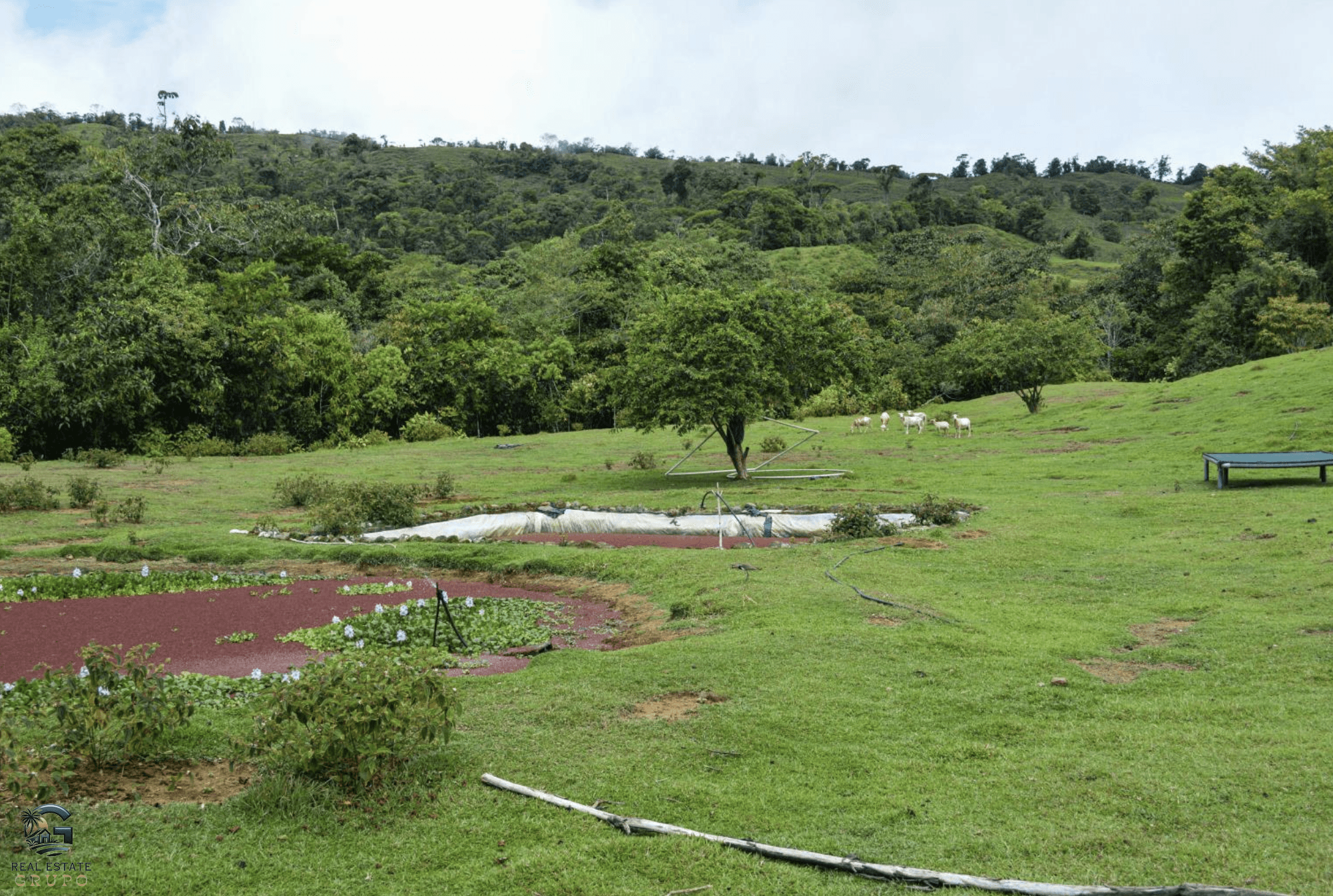 Screenshot 2024-02-07 at 10.11.00