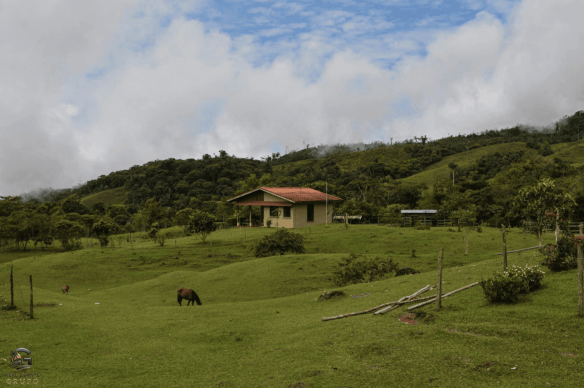 Screenshot 2024-02-07 at 10.11.07