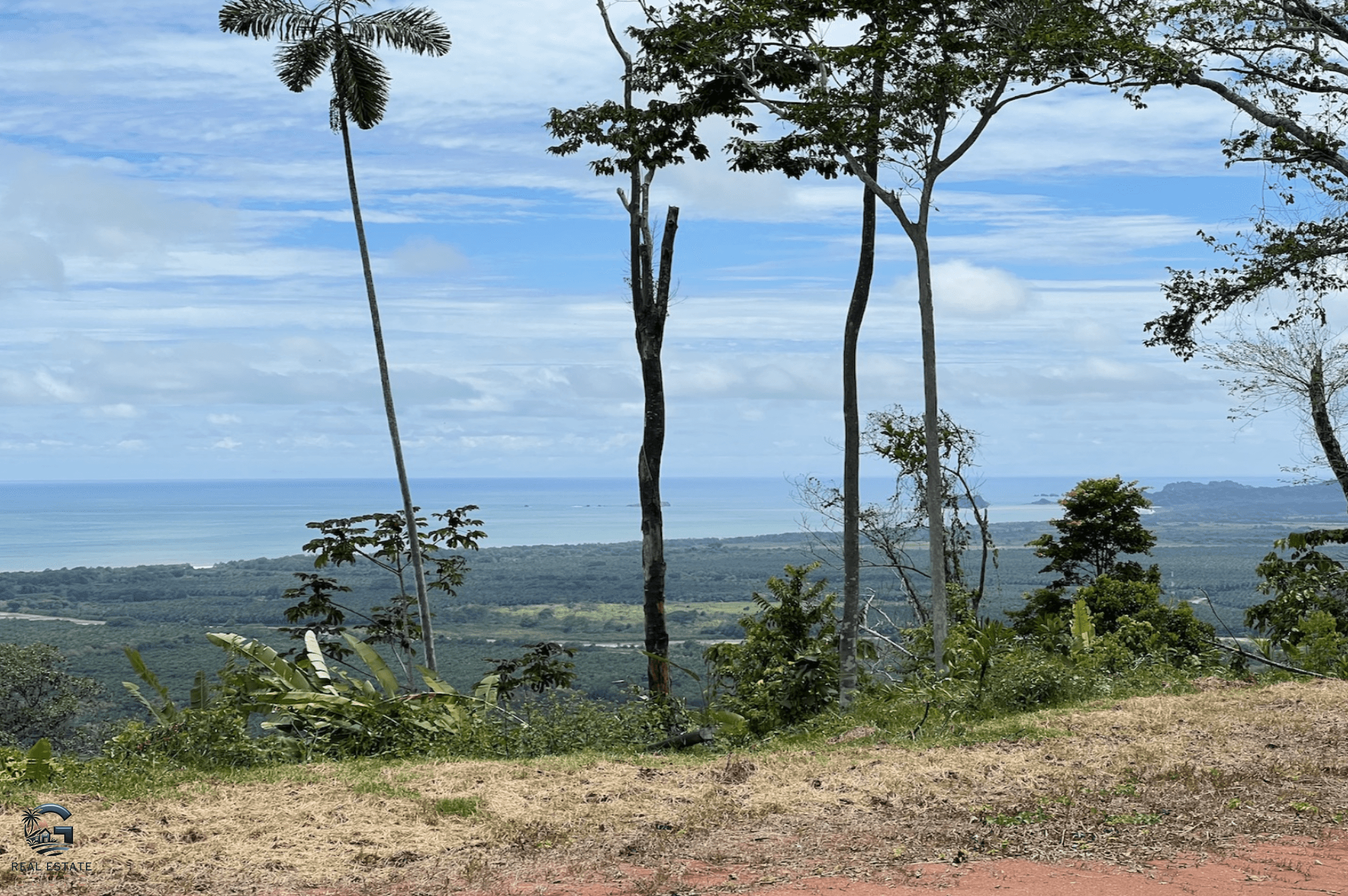 Screenshot 2024-02-07 at 10.21.28