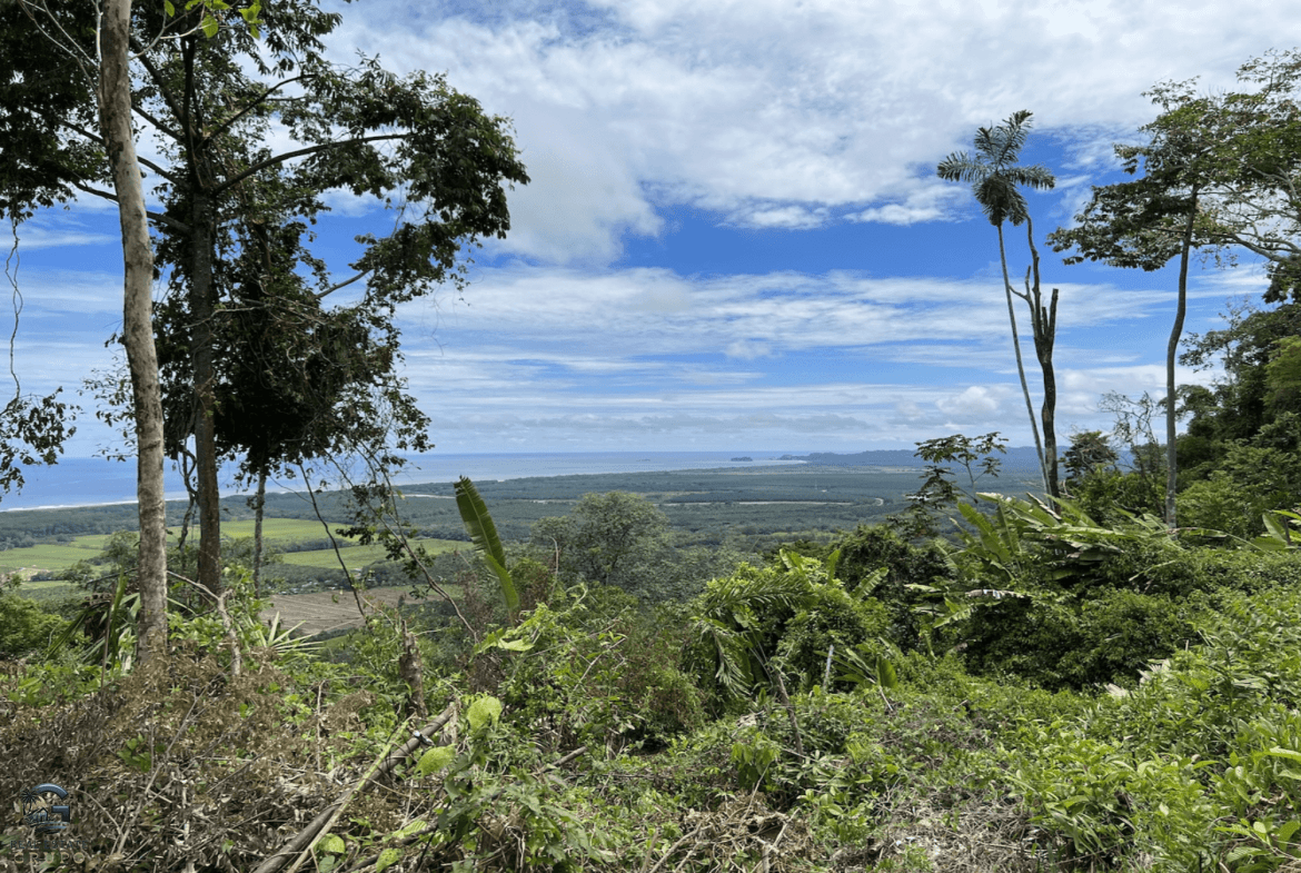 Screenshot 2024-02-07 at 10.21.43