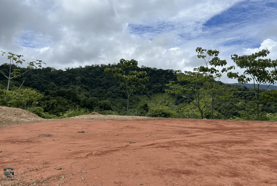 Screenshot 2024-02-07 at 10.21.50