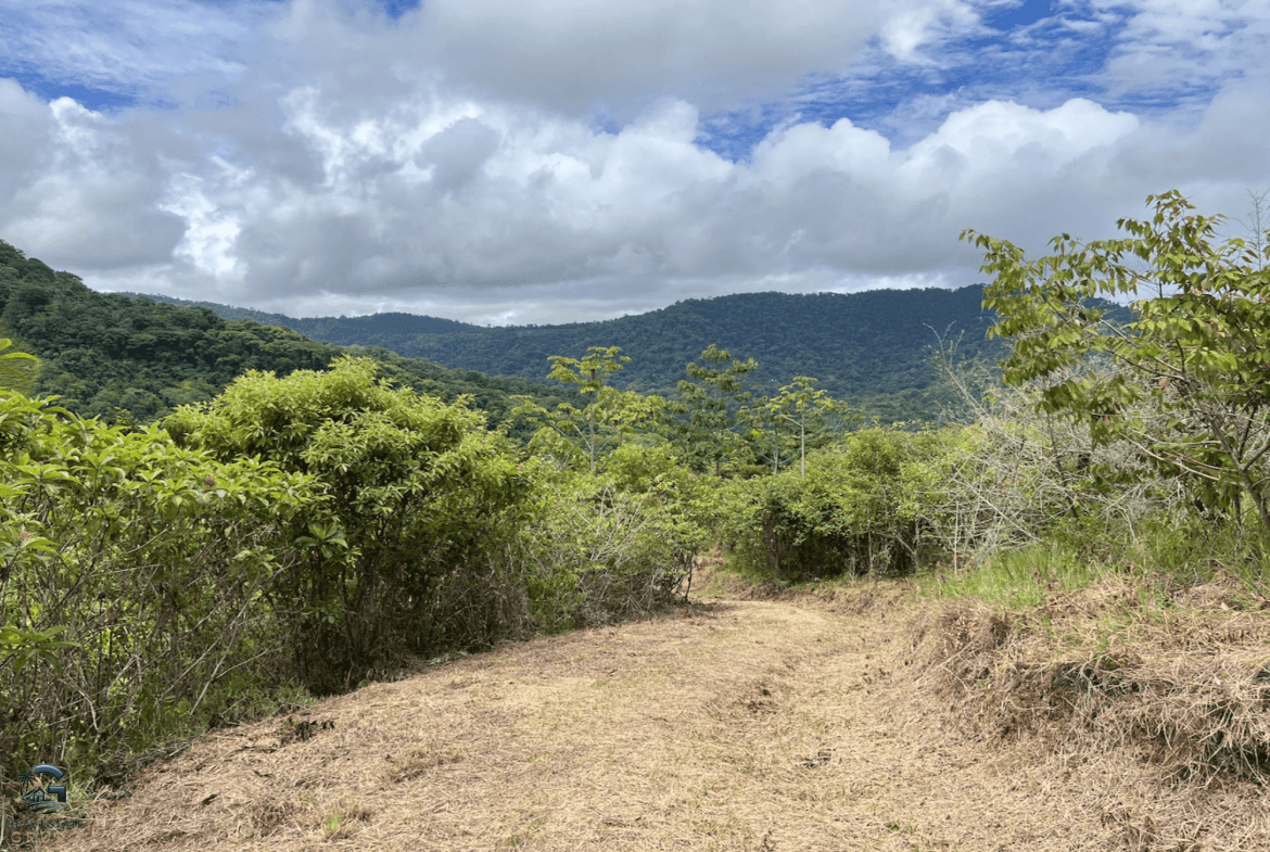 Screenshot 2024-02-07 at 10.22.08