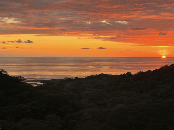 Screenshot 2024-02-07 at 10.29.59