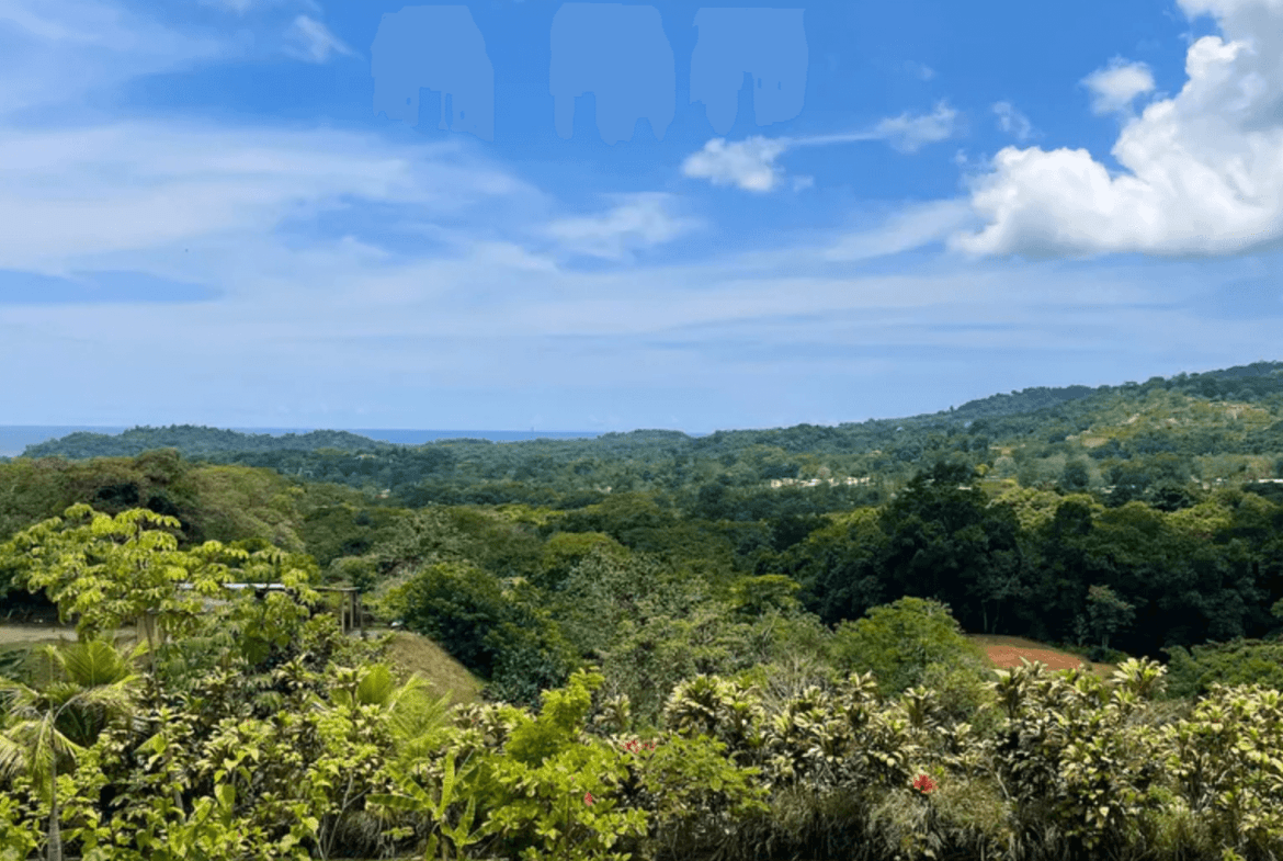 Screenshot 2024-02-22 at 10.54.26