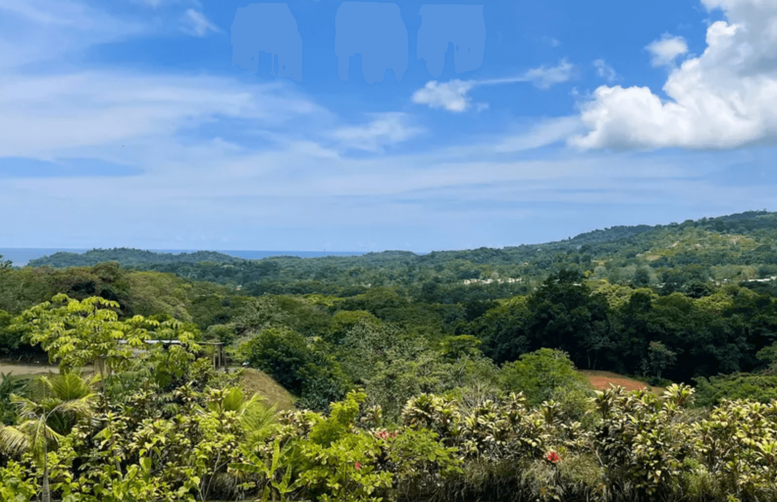 Screenshot 2024-02-22 at 10.54.26