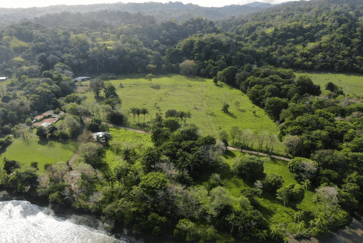 Screenshot 2024-02-22 at 11.20.06