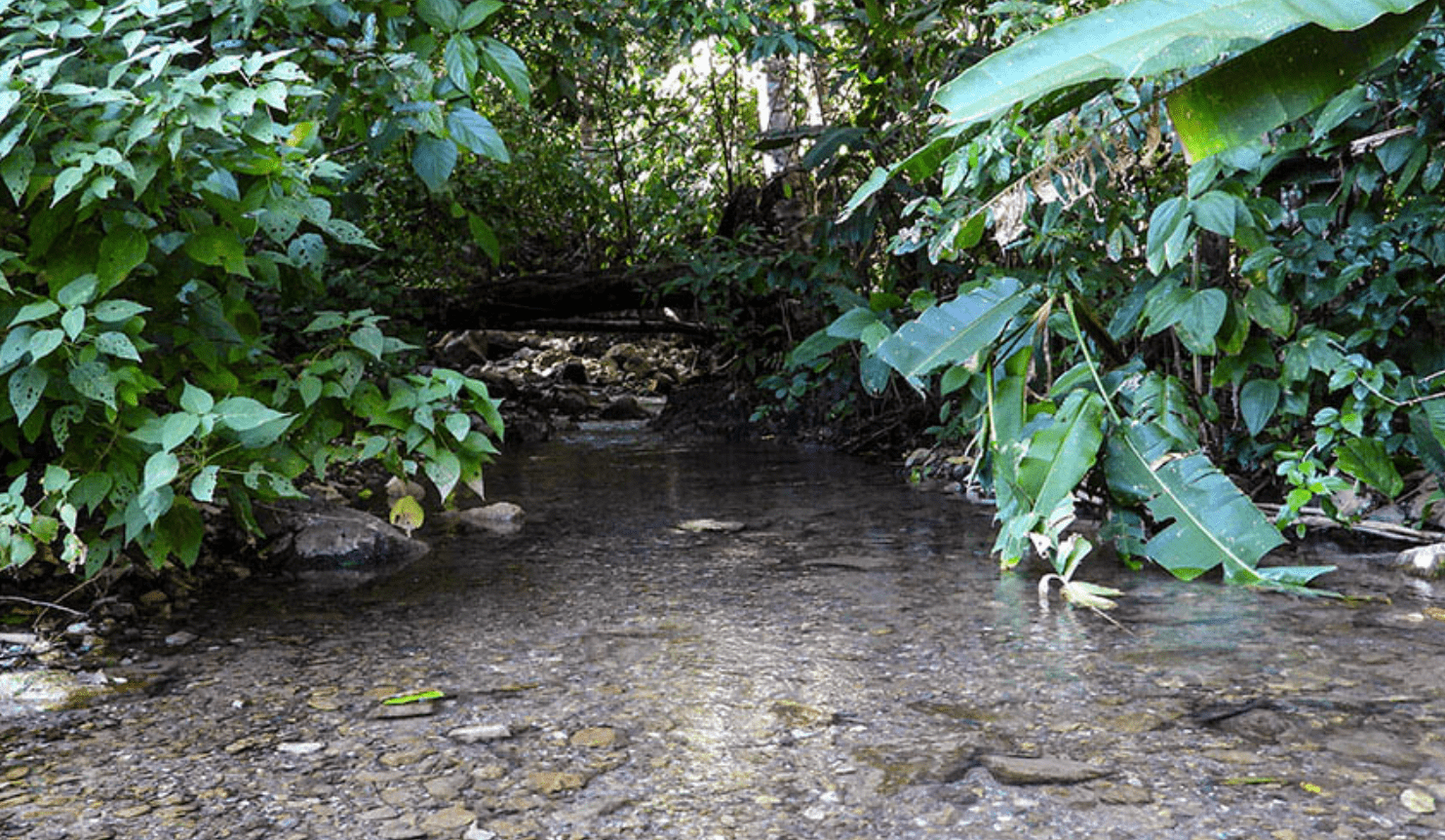 Screenshot 2024-02-28 at 16.41.03-min