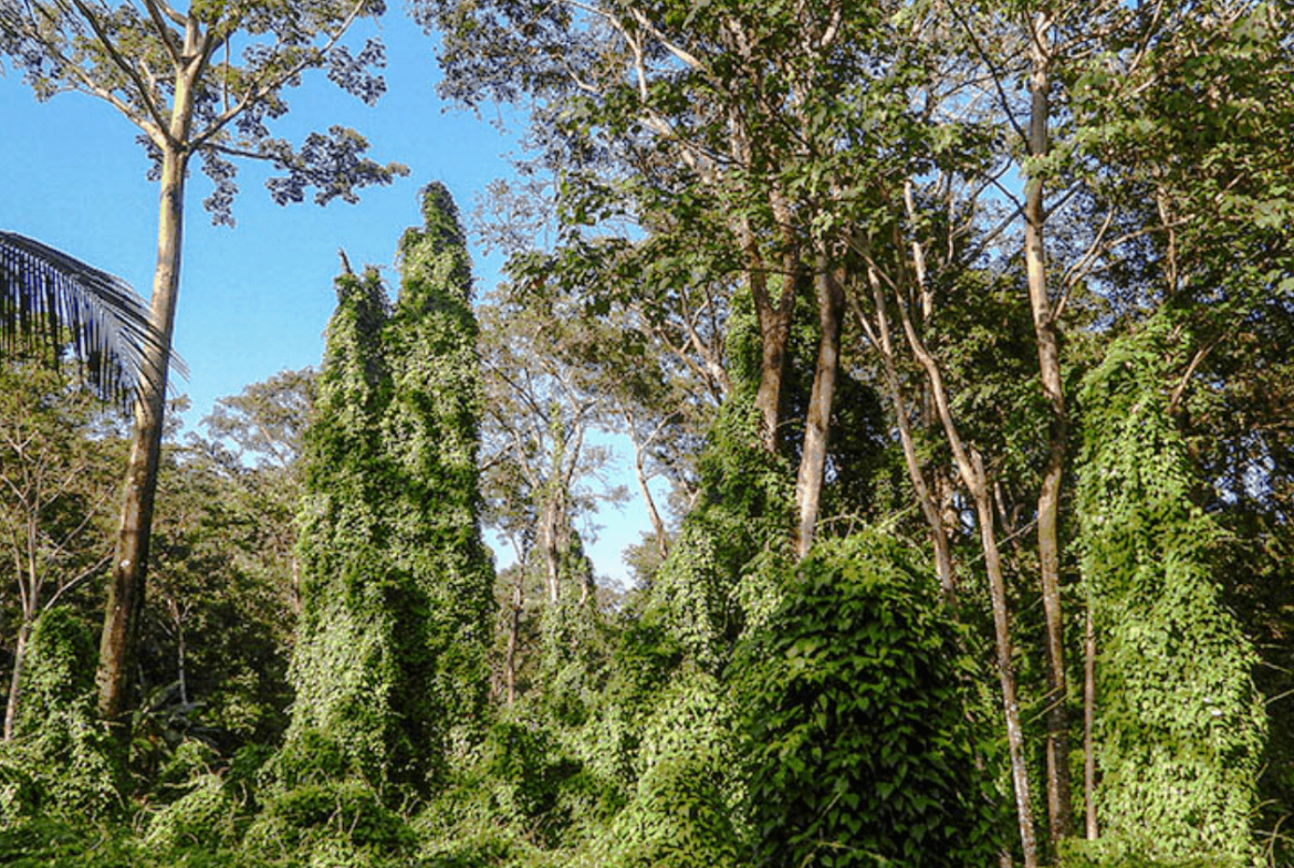 Screenshot 2024-02-28 at 16.41.16-min