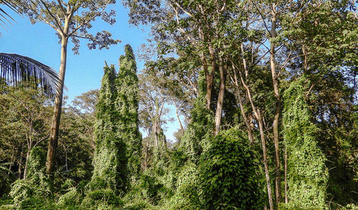 Screenshot 2024-02-28 at 16.41.16-min