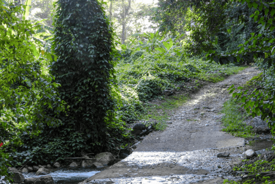 Screenshot 2024-02-28 at 16.41.22-min