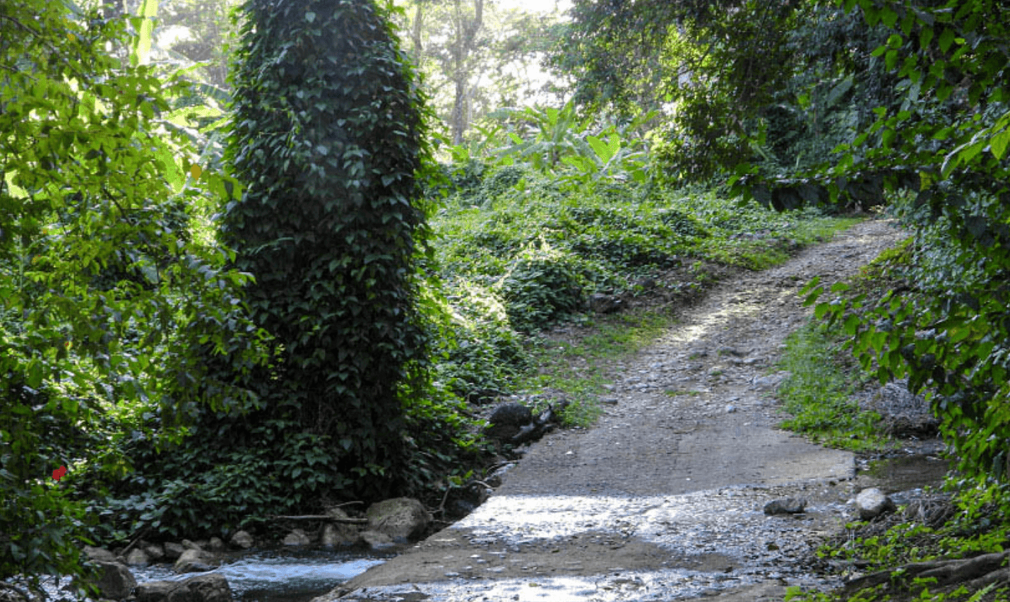 Screenshot 2024-02-28 at 16.41.22-min