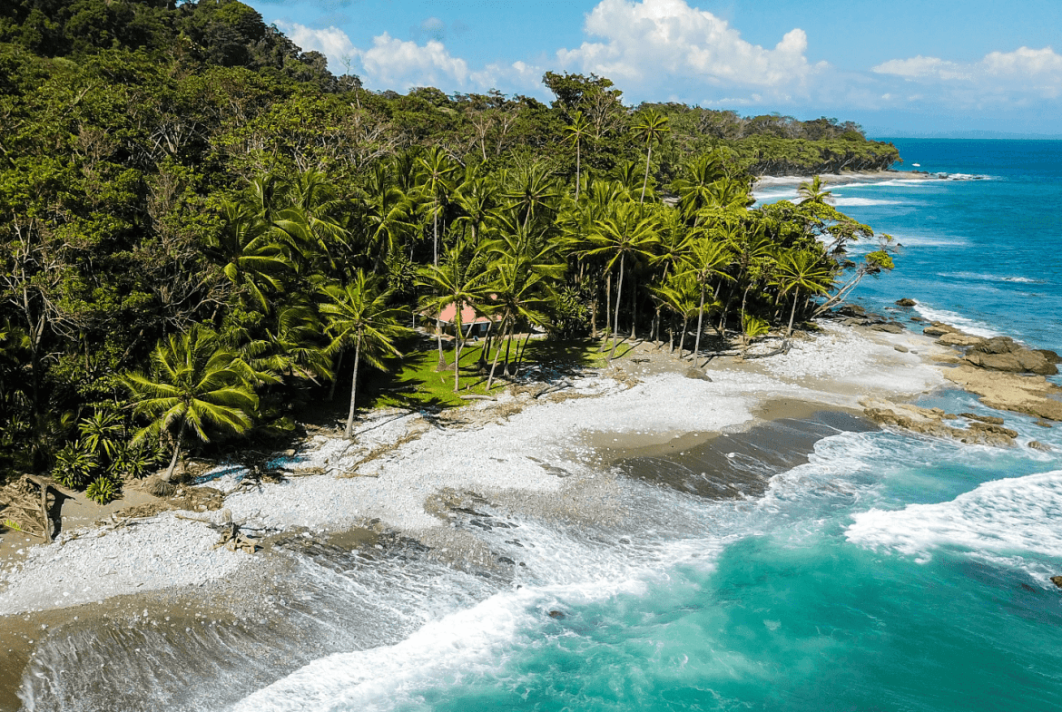 Screenshot 2024-02-28 at 16.41.27-min